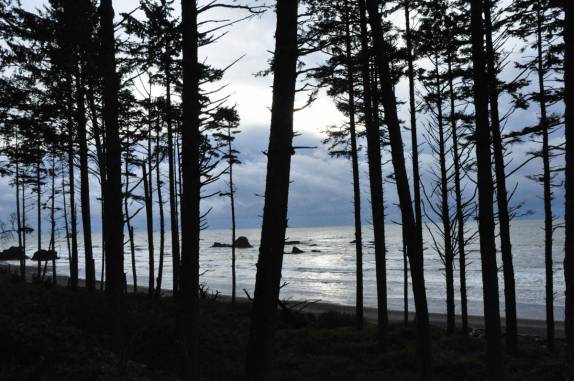 Olympic National Park, no estado de Washington, oeste dos Estados Unidos